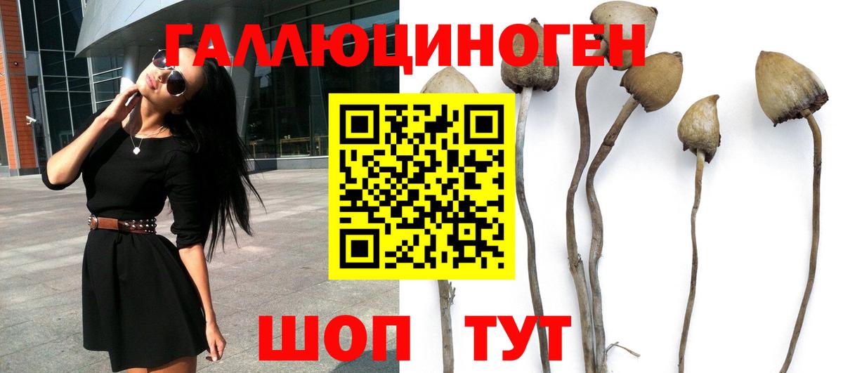 Псилоцибиновые грибы Magic Shrooms  Вход с VPN  Галлюциногенные грибы GOLDEN TEACHER  Касимов 