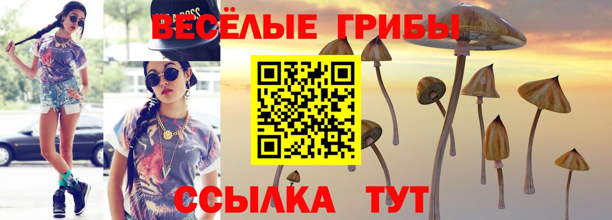 Галлюциногенные грибы мухоморы Касимов